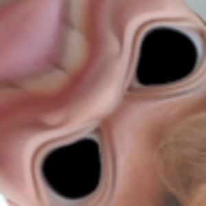 Meet your Posher, Ike